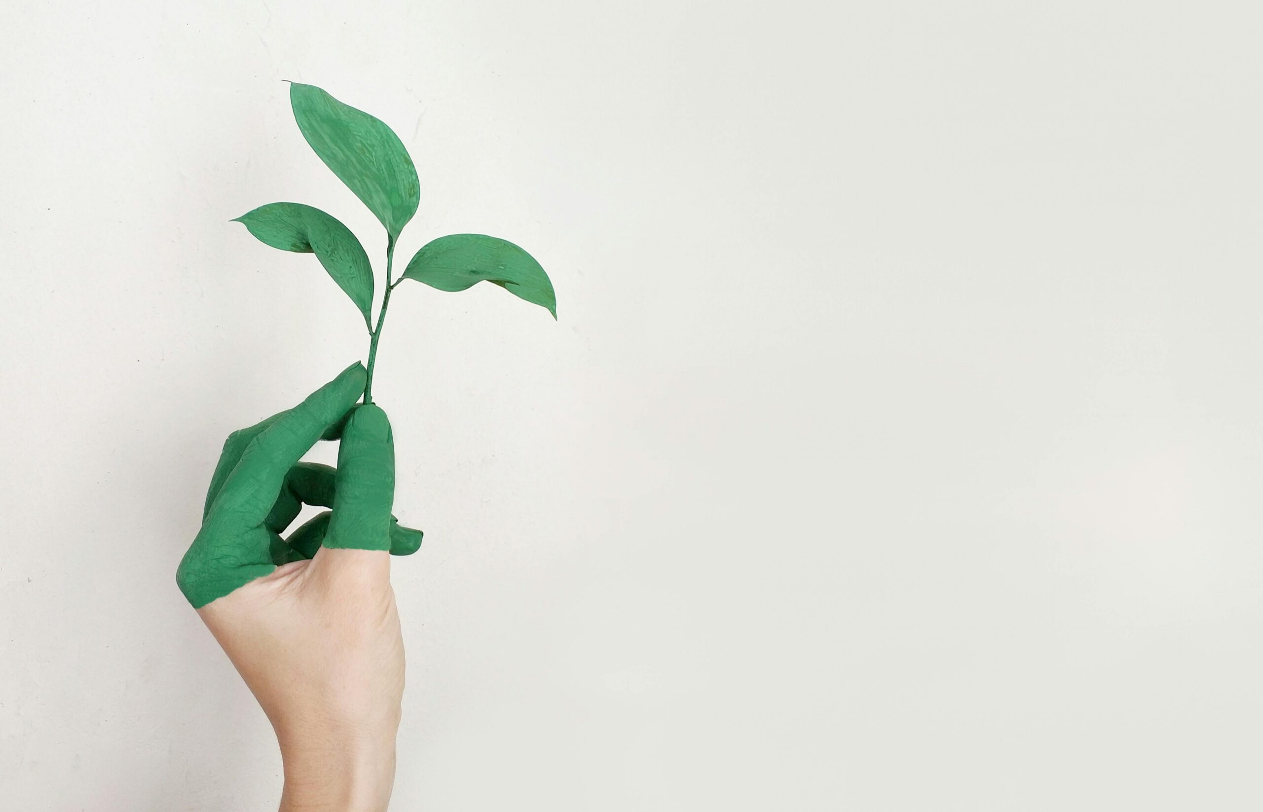 A hand painted green growth and sustainability.